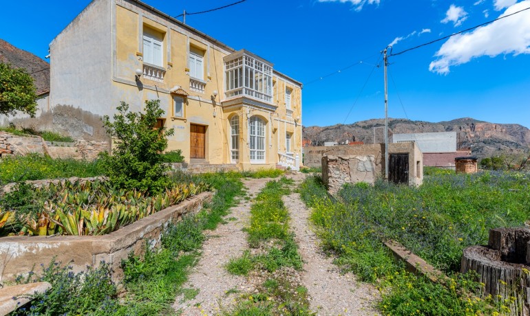 Venta - Finca -
Orihuela