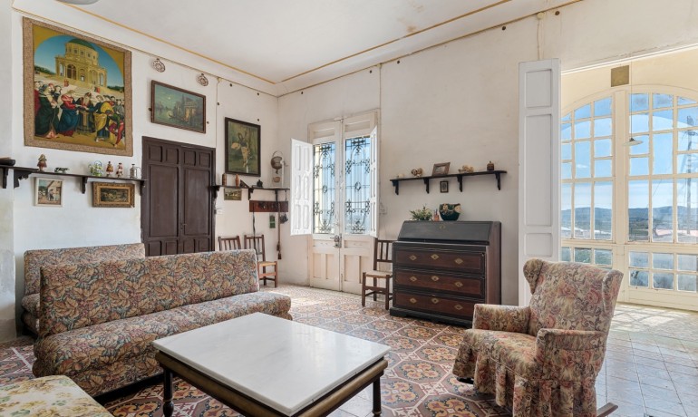 Venta - Finca -
Orihuela