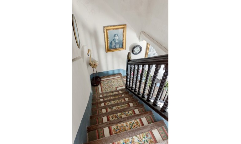 Venta - Finca -
Orihuela