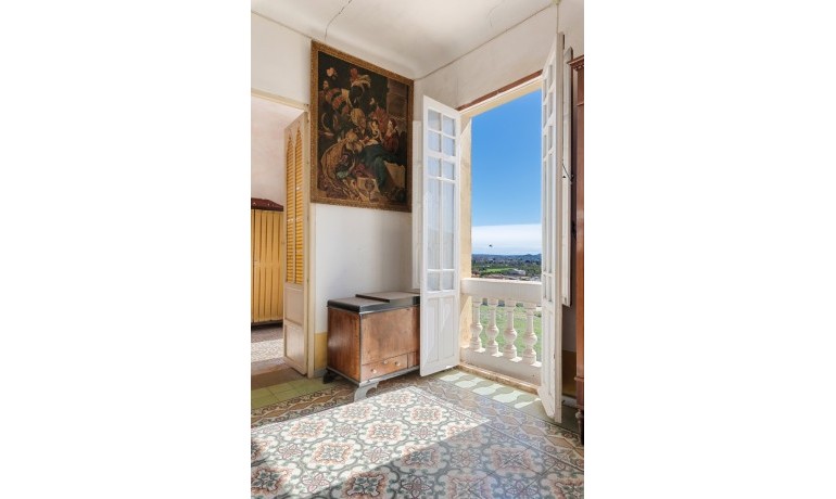 Venta - Finca -
Orihuela