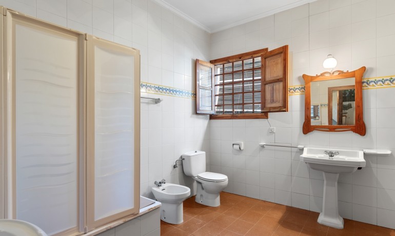 Venta - Finca -
Orihuela