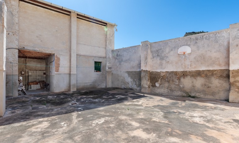 Venta - Finca -
Orihuela