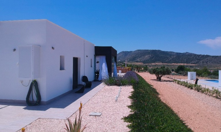 New Build - Villa -
Macisvenda