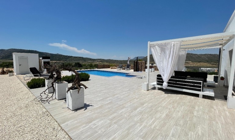 New Build - Villa -
Macisvenda