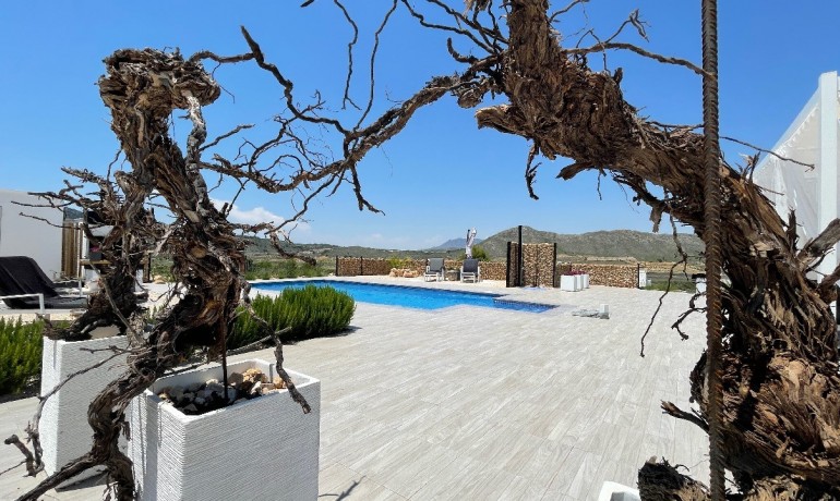 New Build - Villa -
Macisvenda