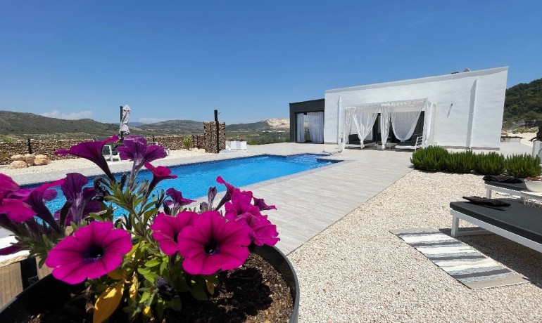 New Build - Villa -
Macisvenda