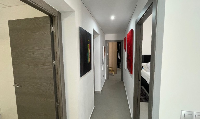 New Build - Villa -
Macisvenda