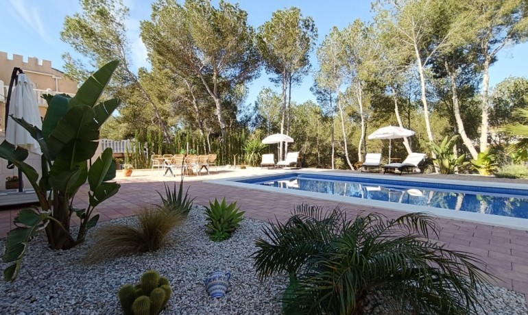 Sale - Villa -
Pinar de Campoverde