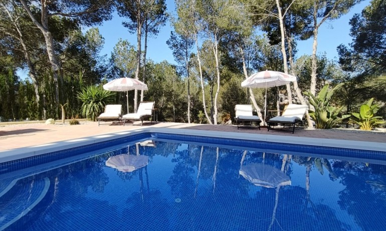 Sale - Villa -
Pinar de Campoverde
