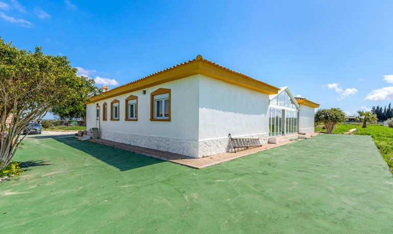 Venta - Villa -
Los Montesinos