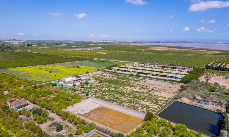 Venta - Villa -
Los Montesinos