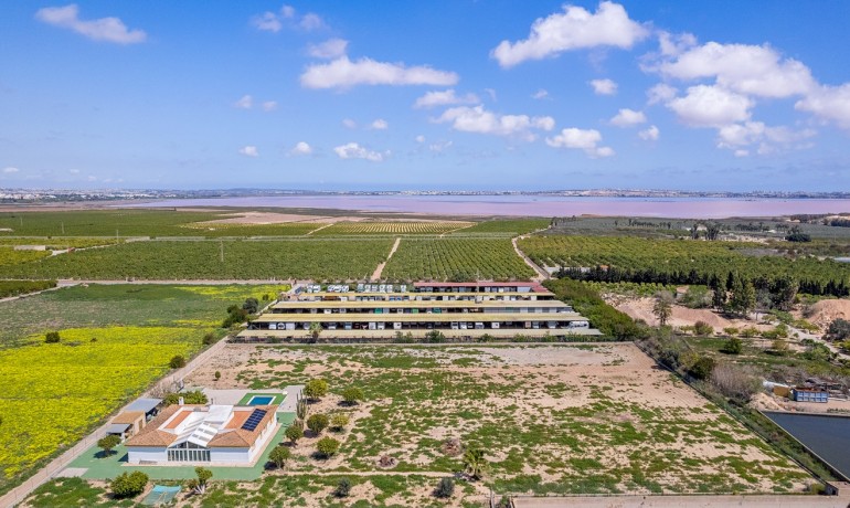 Venta - Villa -
Los Montesinos