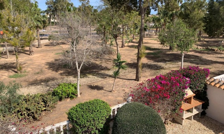 Herverkoop - Villa -
Guardamar del Segura* - Guardamar - El Raso