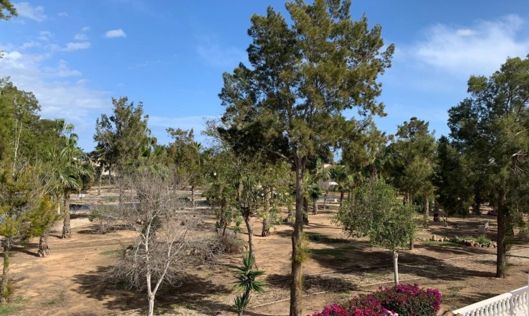 Herverkoop - Villa -
Guardamar del Segura* - Guardamar - El Raso