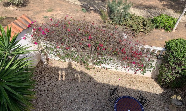 Herverkoop - Villa -
Guardamar del Segura* - Guardamar - El Raso