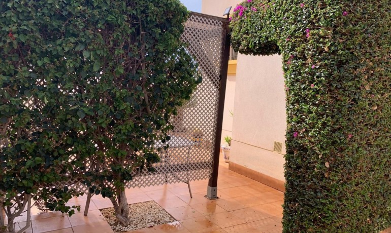 Herverkoop - Villa -
Guardamar del Segura* - Guardamar - El Raso