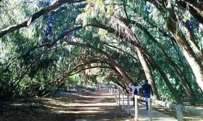 Nieuwbouw - Appartement / Flat -
Torrevieja* - Altos del Sol