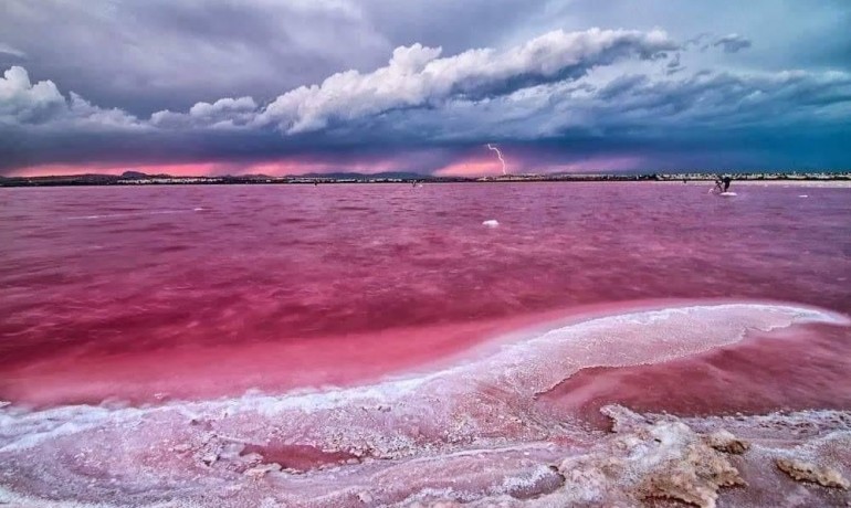 Nieuwbouw - Appartement / Flat -
Torrevieja* - Altos del Sol