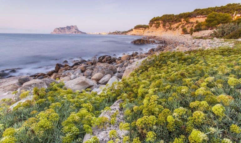 Nieuwbouw - Villa -
Benissa* - Cala Advocat - Baladrar