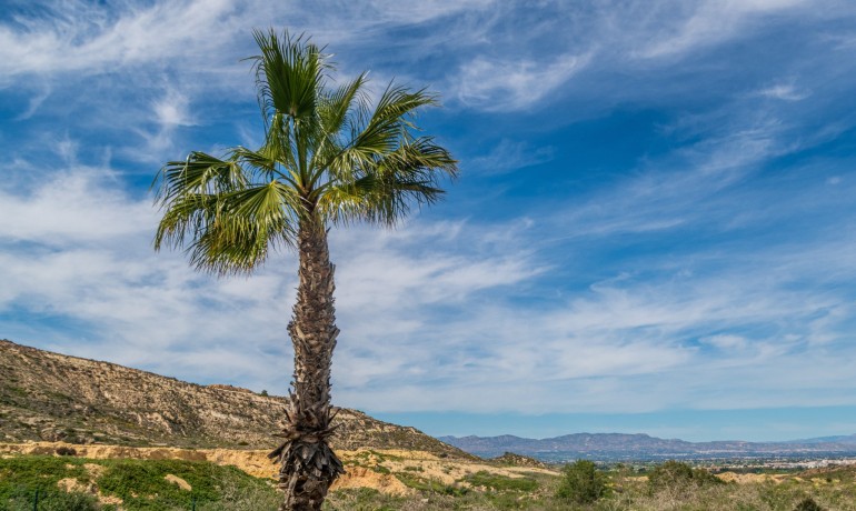 Herverkoop - Appartement / Flat -
Algorfa* - LA FINCA GOLF / ALGORFA