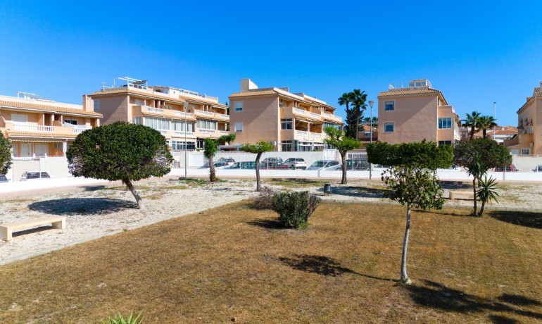 Venta - Casa -
Torrevieja