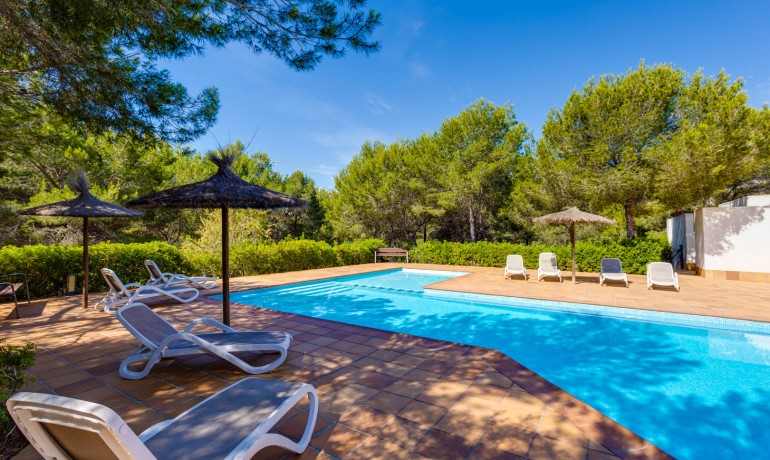 Sale - Apartment / Flat -
Las Colinas