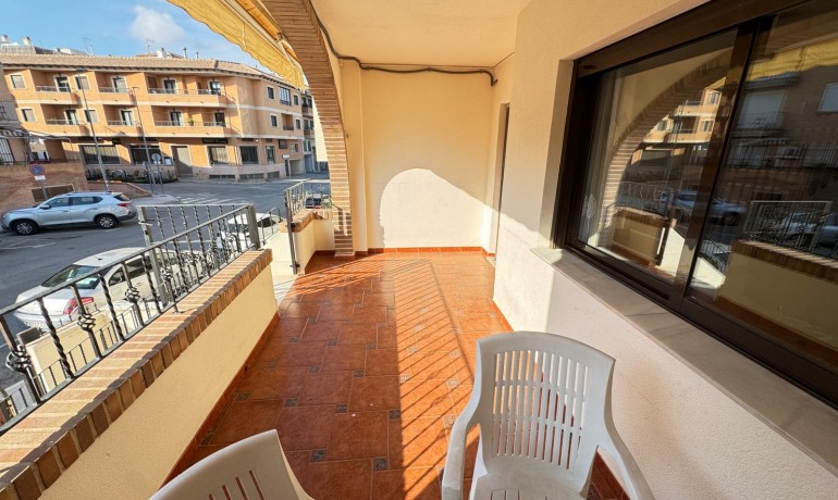 Sale - House -
San Miguel de Salinas* - San Miguel De Salinas