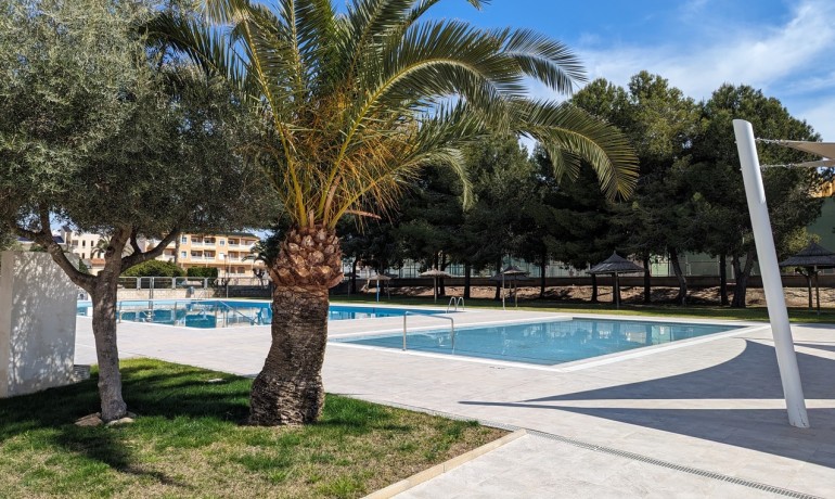 Herverkoop - Huis -
Algorfa* - Algorfa