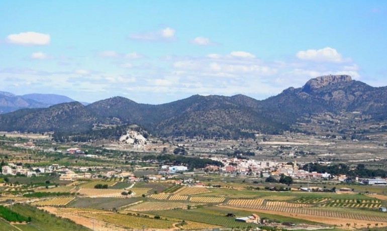 Nieuwbouw - Villa -
La Romana - Batistes