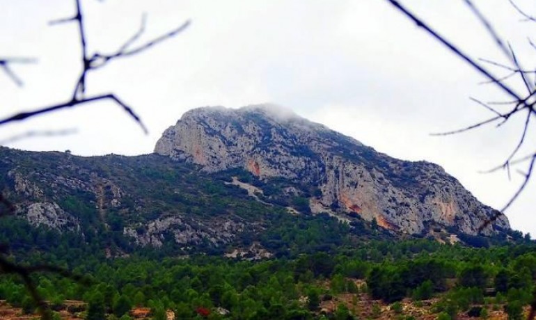 Nieuwbouw - Villa -
La Romana - Batistes