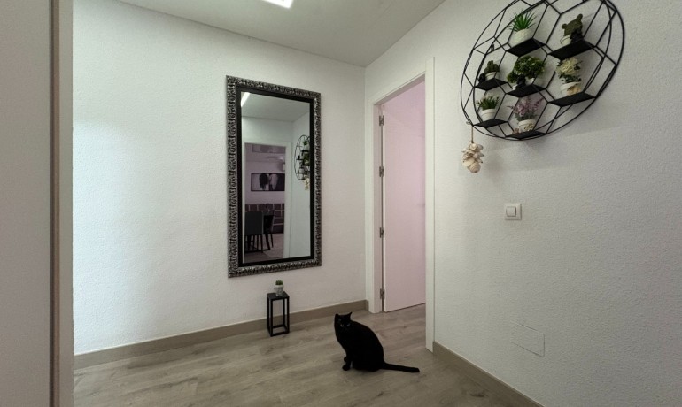 Herverkoop - Appartement / Flat -
Torrevieja* - Centro