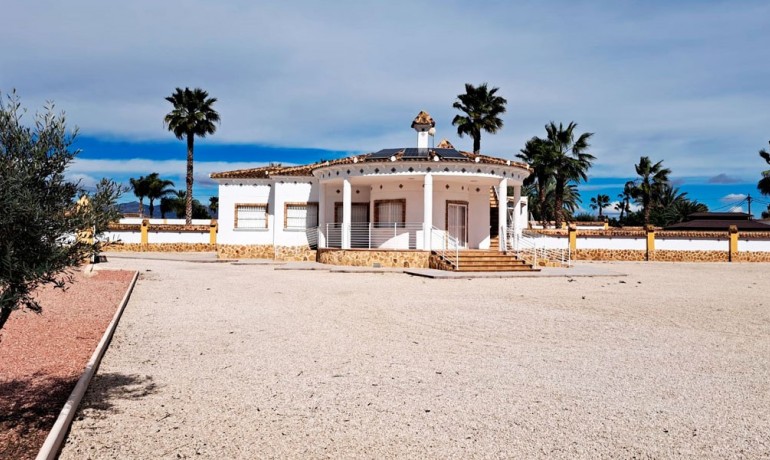 Herverkoop - Finca / Landgoed -
Catral* - Catral - Country