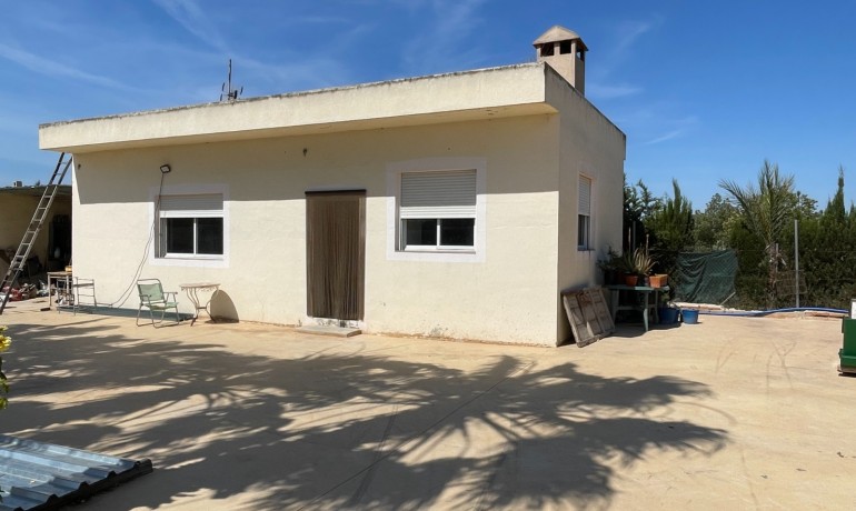 Herverkoop - Finca Country Property -
Crevillente