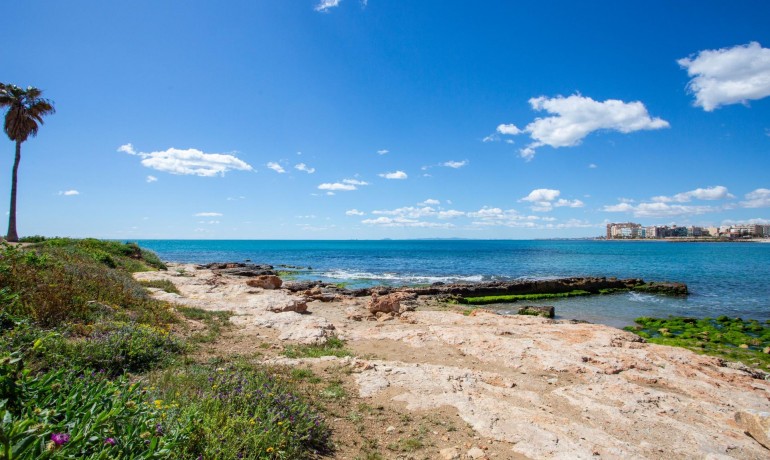 Venta - Apartamento / piso -
Torrevieja - Centro - Muelle Pesquero