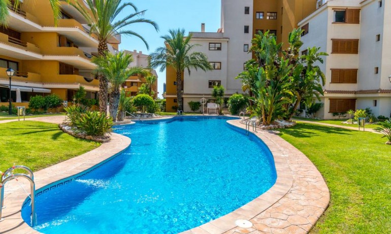 Revente - Appartement / Flat -
Punta Prima* - Punta Prima