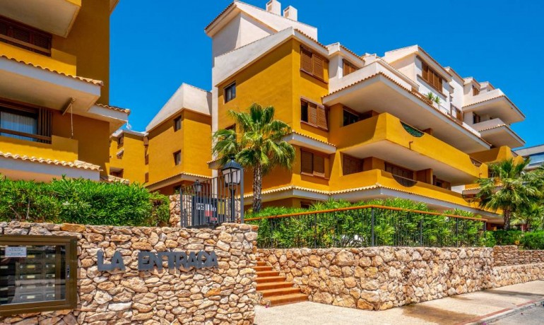 Revente - Appartement / Flat -
Punta Prima* - Punta Prima