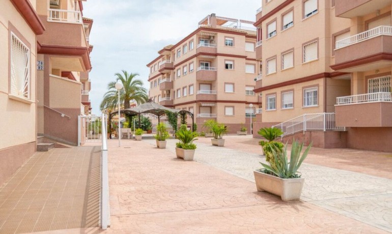 Sale - Apartment / Flat -
Algorfa* - Algorfa