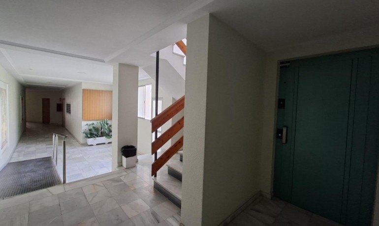 Herverkoop - Appartement / Flat -
Torrevieja* - Acequion