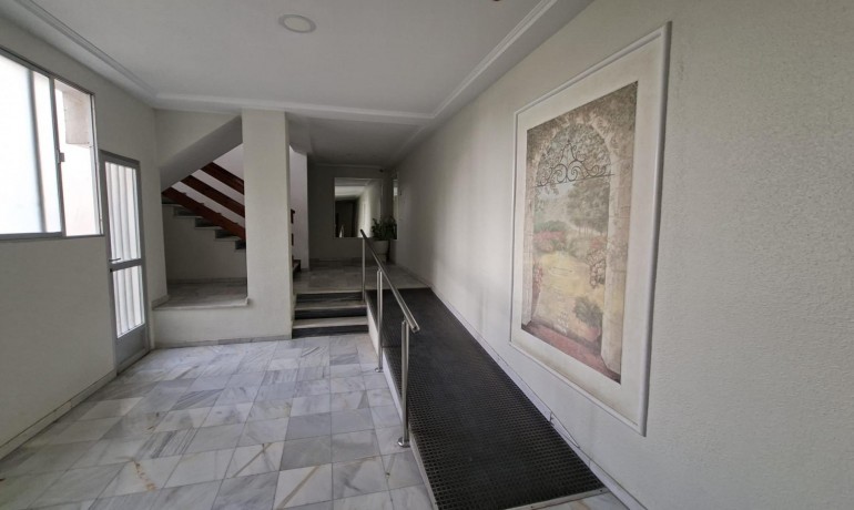 Herverkoop - Appartement / Flat -
Torrevieja* - Acequion