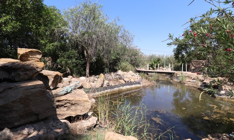 Herverkoop - Finca / Landgoed -
Catral* - Catral - Country