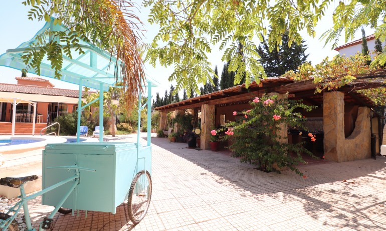 Herverkoop - Finca / Landgoed -
Catral* - Catral - Country