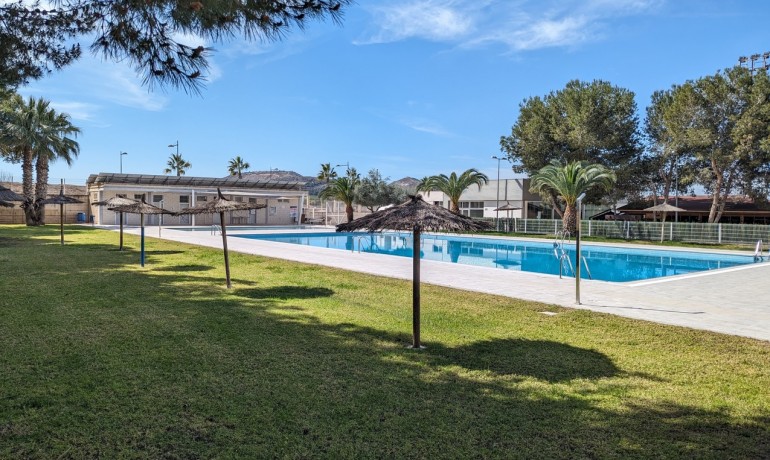 Venta - Apartamento / piso -
Algorfa