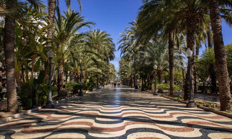 Nieuwbouw - Appartement / Flat -
Alicante* - Centro