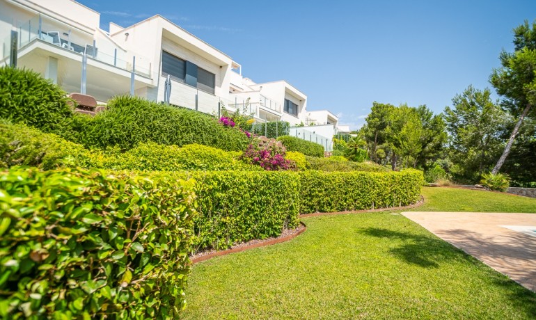 Herverkoop - Appartement / Flat -
Pilar de la Horadada* - Lo Romero Golf