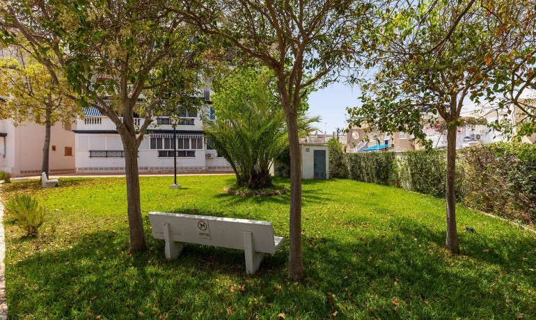 Venta - Apartamento / piso -
Torrevieja - Cañada del Molino