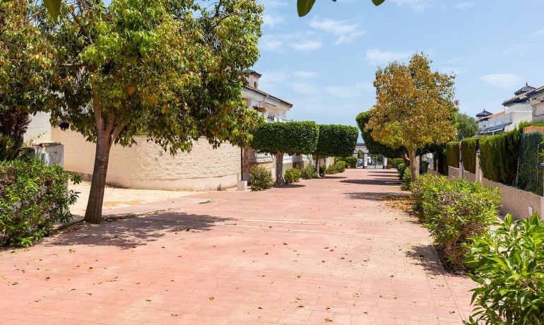 Venta - Apartamento / piso -
Torrevieja - Cañada del Molino