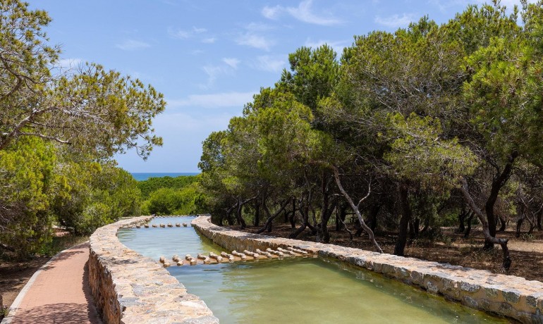 Venta - Apartamento / piso -
Torrevieja - Cañada del Molino