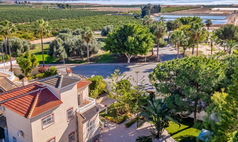 Venta - Villa -
Ciudad Quesada - Doña Pepa