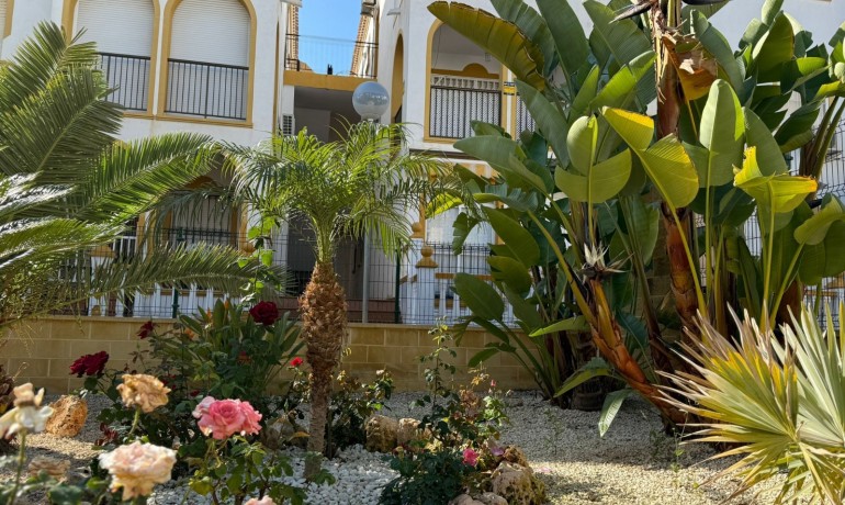Herverkoop - Appartement / Flat -
La Mata - Cañada del Molino