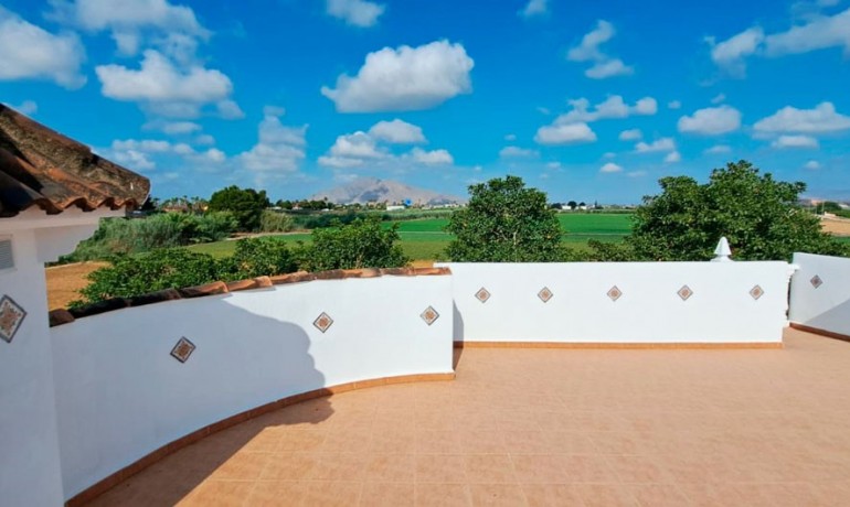 Herverkoop - Finca / Landgoed -
Catral* - Catral - Country